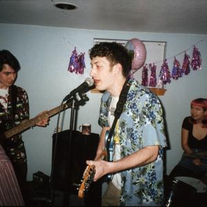 The Moogs